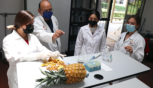 Estudiantes del TecNM en Morelia analizan efectos de la piña para prevenir trombosis coronaria