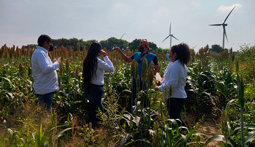 Trabajan estudiantes del TecNM en el proyecto de desarrollo del Istmo de Tehuantepec