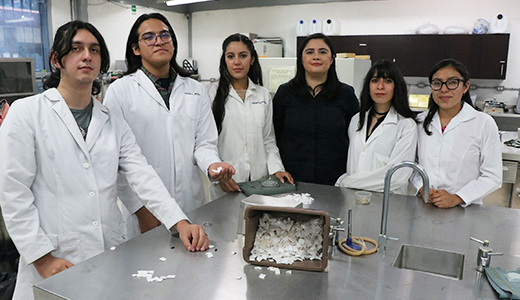 Estudiantes del TecNM Morelia degradan unicel para alimentar mascotas 