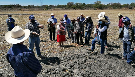 Impulsa TecNM Huichapan transferencia de tecnología para pequeños agricultores 